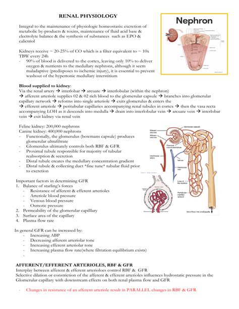 Renal Physiology