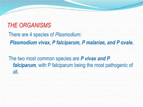 Solution Plasmodium Species Blood Studypool