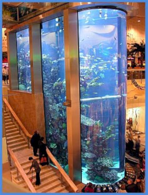 Aquarium Stairs Design Ideas Amazing Aquariums Aquarium Design