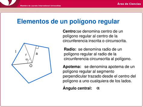 PPT POLÍGONOS PowerPoint Presentation free download ID 960167