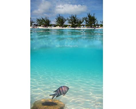 Half Moon Cay Bahamas Snorkeling 8x12 Fine Art Photography Print Blue ...