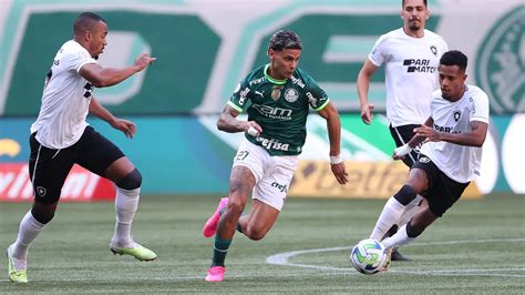 Botafogo X Palmeiras Veja Onde Assistir Ao Confronto Pela Rodada