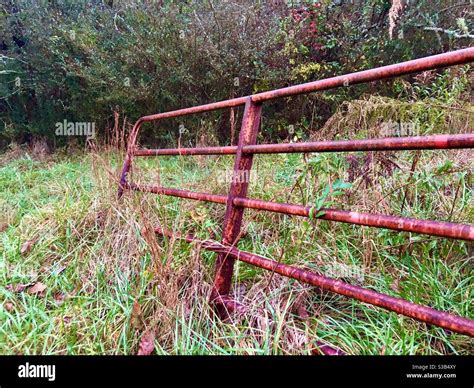 Verblassende Rote Farbe Fotos Und Bildmaterial In Hoher Aufl Sung Alamy