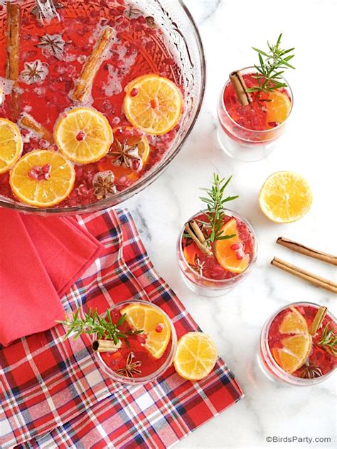 Cranberry Vodka Christmas Punch Recipe Party Ideas Party Printables