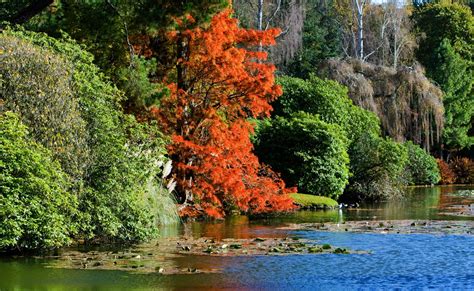 Autumn Colors Free Stock Photo Public Domain Pictures