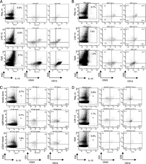 Cd Cd Cd Hi B Cells And Mzb Produce Il On Exposure To L