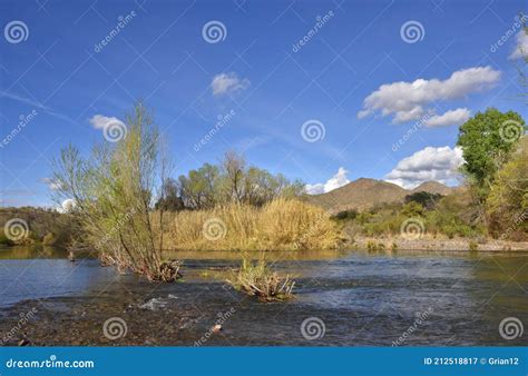 Paisagem Fluvial Do Deserto De Sonoran Imagem De Stock Imagem De