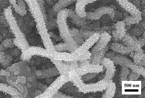 Sem Images Of The Aln Nanostructures Grown Under C For Min