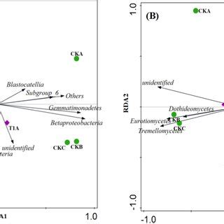 Redundancy Analysis Based On Bacterial Community A And Fungal