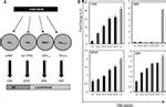 Frontiers A Gq Biased Small Molecule Active At The Tsh Receptor