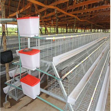 A Type 3 Tier Laying Hens Cage Poultry Farming Equipment