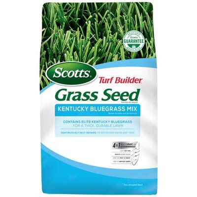 Kentucky bluegrass Grass & Grass Seed at Lowes.com