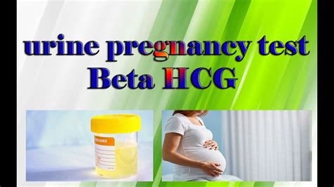 What Is Urine Pregnancy Test Beta HCG YouTube