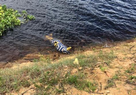 Desova Corpo Encontrado Boiando No Rio Jacu Pe Em Concei O Da Feira