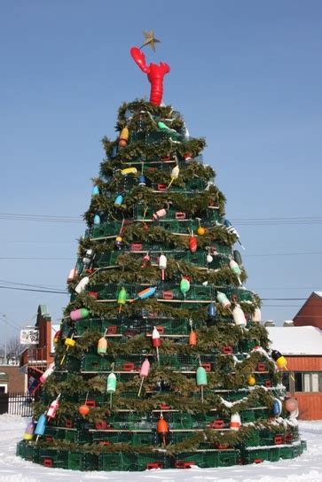 A Large Christmas Tree In The Middle Of Snow Covered Ground With Lights