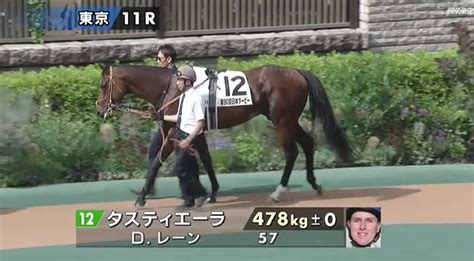 【2023有馬記念】ドウデュース復活！！・・・でも私はタスティエーラを推したい【レース回顧】 獣医師が競馬の魅力を全力で伝えるブログ