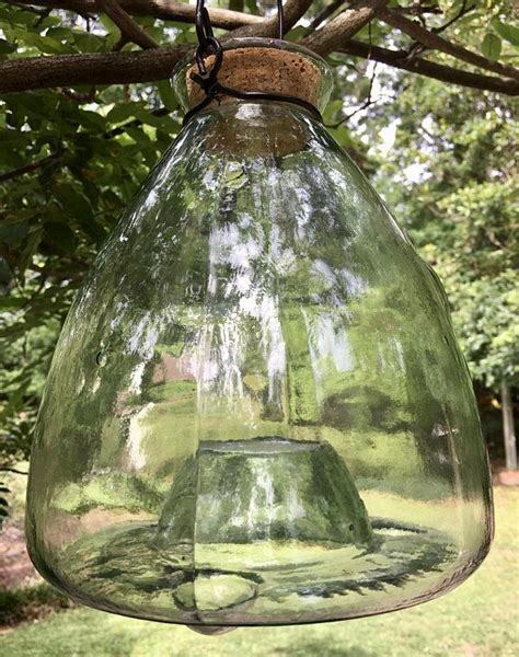 Glass Fly Trap Wasp Trap Bug Trap Glass Bottle Green Etsy Wasp