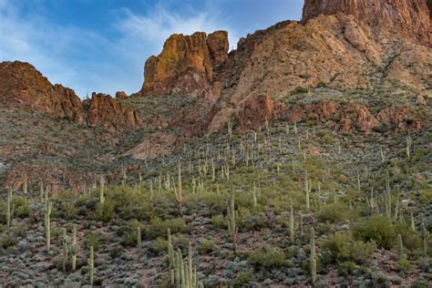 Sunrise Superstition Mountains Stock Image - Image of cacti, beautiful ...