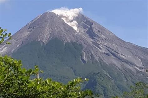 Semburkan Abu Vulkanik Merapi Kembali Erupsi