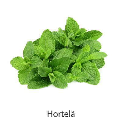 Produtos In Natura