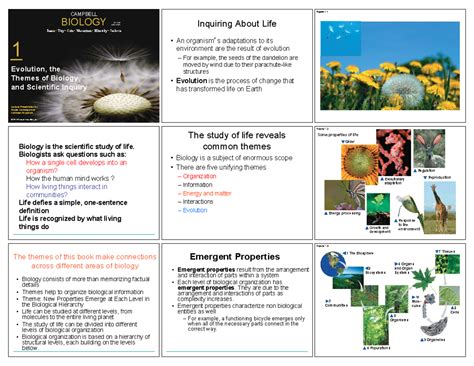 Chapter 1 Evolution The Themes Of Biology And Scientific Inquiry