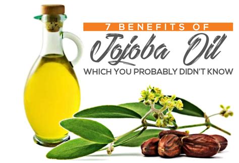 Ergonomics And Chiropractic Care 7 Benefits Of Jojoba Oil Which You