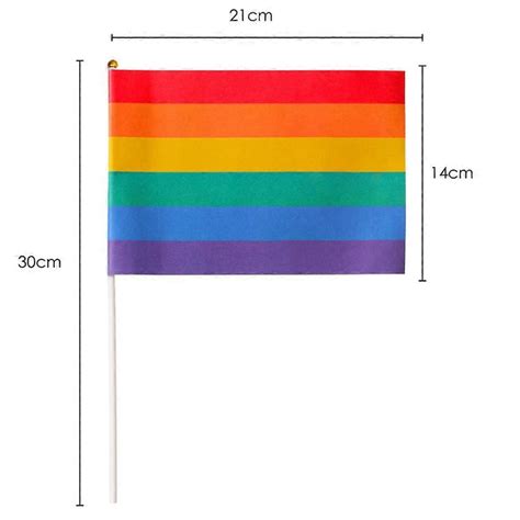 Pieces Rainbow Pride Flag Bisexual Mini Gay Stick Flags Pansexual