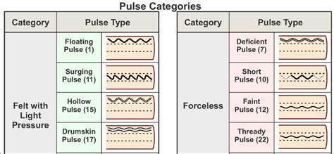 Pulse Diagnosis Poster 2nd Ed Clinical Charts And Supplies