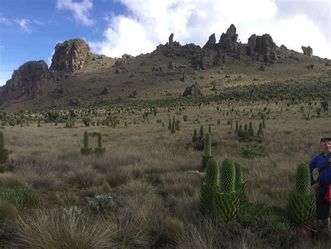 Kimilili, Kenya 2022: Best Places to Visit - Tripadvisor