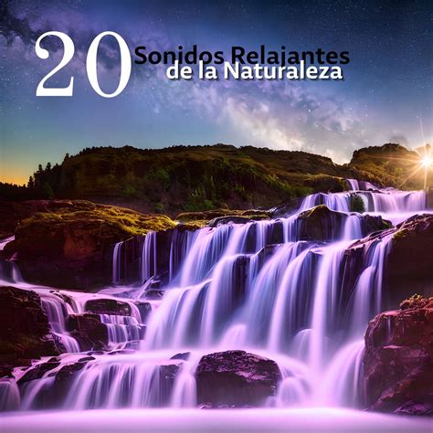 Sonidos Relajantes De La Naturaleza Aguas Calmantes Y Ruidos De