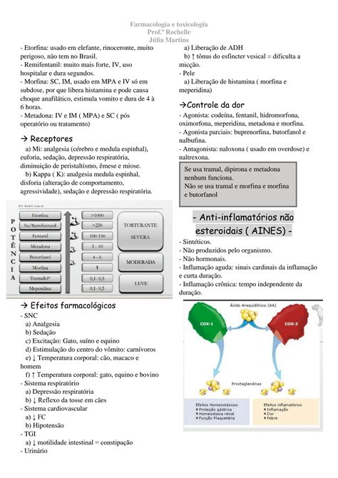 SOLUTION Farmacologia Veterin Ria Farmacologia Da Dor Studypool