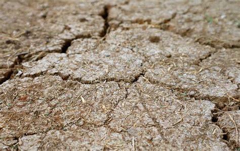 Cierre De La Textura De La Superficie Del Suelo Seco Craqueada Para El