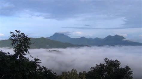 Pesona Bukit Jamur Bengkayang Bak Negeri Di Atas Awan