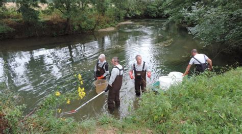 Comment D Velopper Un Projet Ambitieux De Restauration Dun Cours Deau