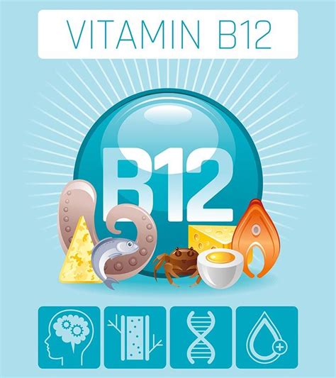 16 Benefits Of Vitamin B12 Dosage And Side Effects Artofit