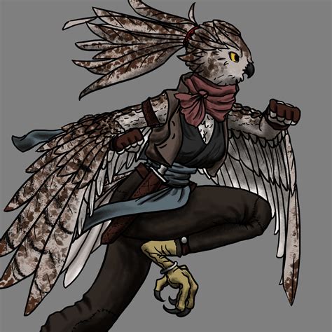 Owlfolk (5e Race) - D&D Wiki