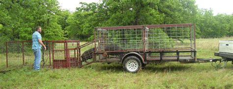 High Quality Custom Hog Traps By Boss Hawg Cross Plains Texas