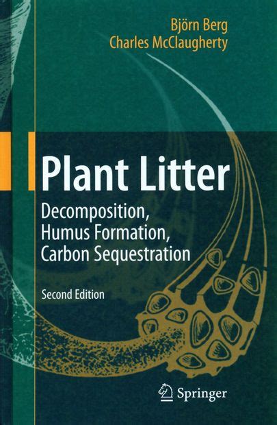 Plant Litter Decomposition Humus Formation Carbon Sequestration