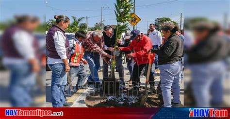 Hoy Tamaulipas Gobierno De Adrian Oseguera Embellece Vialidades De