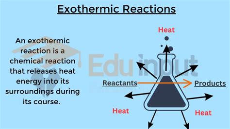 Exothermic Reactions-Characteristics, Identification, and Examples