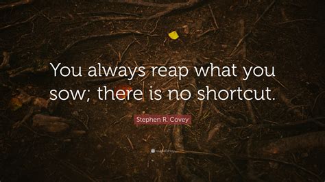 Inspirational Quotes You Reap What You Sow Quotes The Quotes