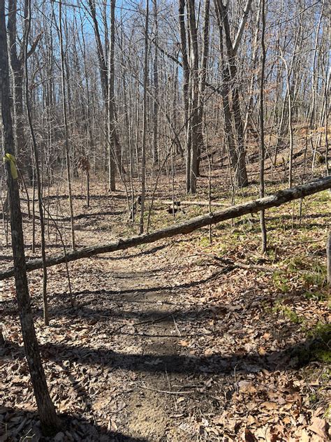 Corona Mountain Biking Trail Fayetteville WV