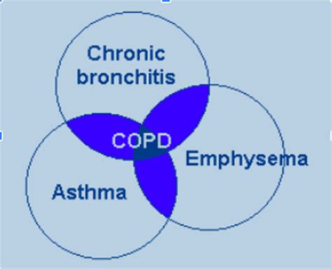 COPD Flashcards Quizlet