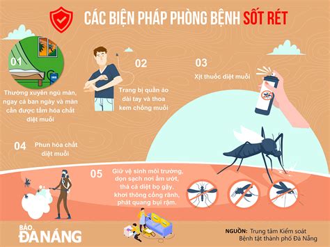 Phác đồ điều trị sốt rét Hướng dẫn chi tiết và hiệu quả