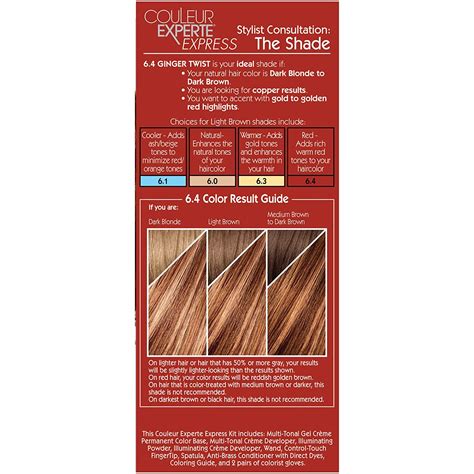 L Or Al Paris Couleur Experte Step Home Hair Color Highlights Kit