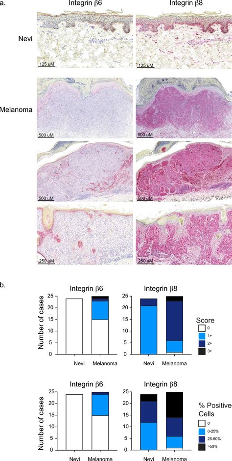 Tgf Activating Integrins And Are Dysregulated In Inflammatory