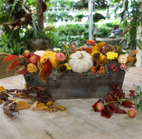 Classes & Workshops — Cactus & Tropicals