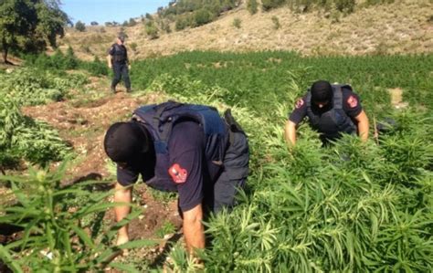 Si Kan Gdhir Bim T Sot Zbardhen P Rgjimet E Grupit T Trafikut T