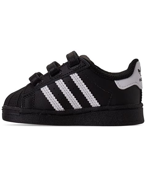 Adidas Toddler Boys Superstar Stay Put Closure Casual Sneakers From