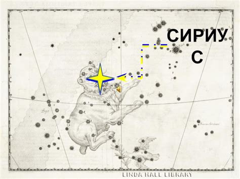 СИРИУС презентация, доклад